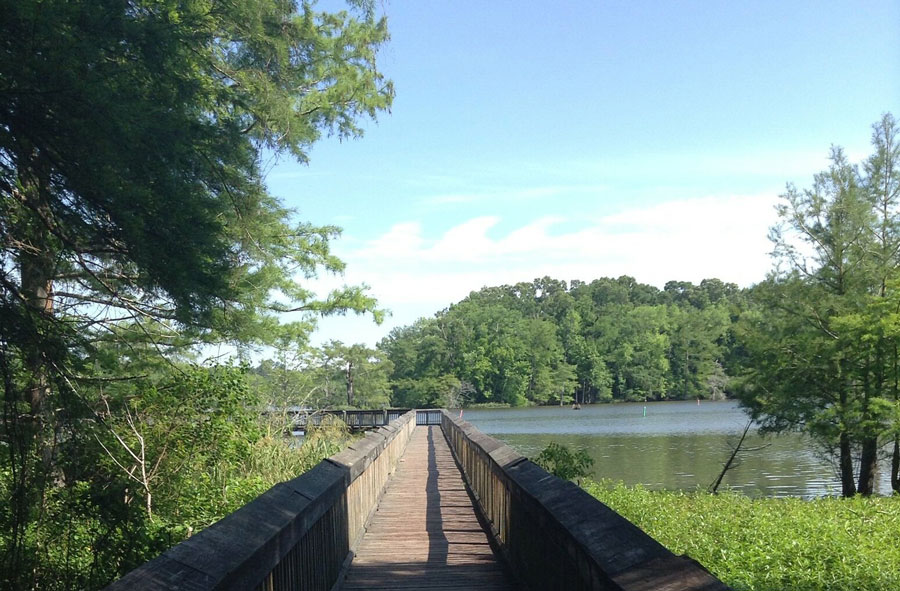 Chicot-State-Park-Louisiana