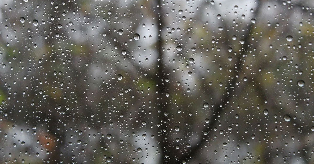 Rain drops on a window with trees in the background