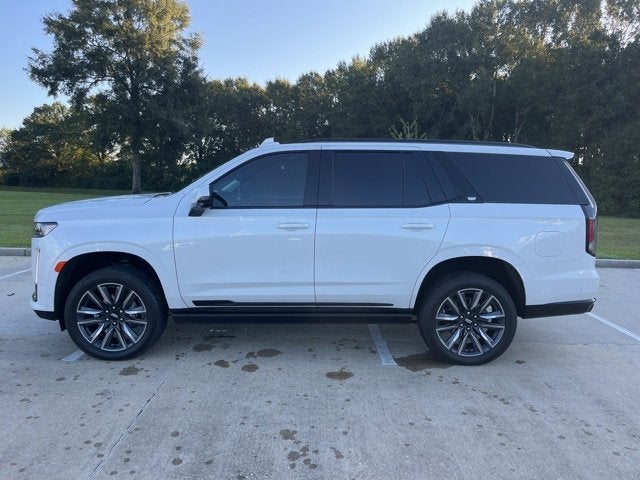 2024 Cadillac Escalade Sport Platinum